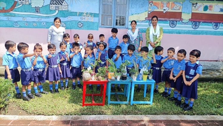 Pre Primary - Plantation Drive by Pre Primary Children