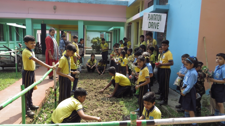 Plantation Drive 19/04/2025